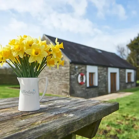 Penuwch Boathouse- Lakeside Rural Cottage Ideal For Families With Indoor Heated Pool Кармартен Экстерьер фото