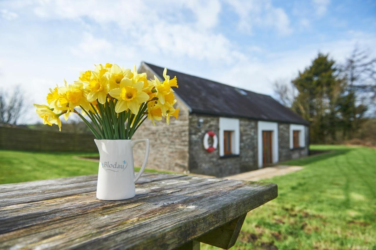 Penuwch Boathouse- Lakeside Rural Ideal For Families With Indoor Heated Pool Holiday home *
